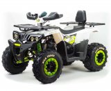 ���������� Motoland ATV WILD Track Lux 200