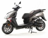 ������ Motoland Paladin 150 4T