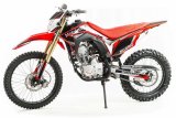 �������� Motoland ����� FC250