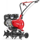 ����������� Pubert Meso 40P C2