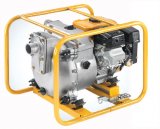 ���������� ��������� Robin PTX 201 T (PTX201T)