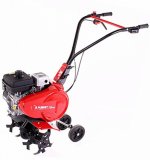 ����������� Pubert Nano � ���������� Kawasaki