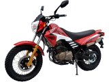 �������� Racer RC200LT Forester