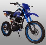 �������� Avantis Orion 250 (4� 250��)