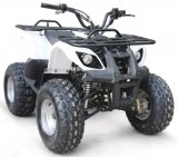 ���������� Yacota YAMAR KIDS 8