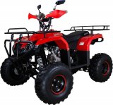 ���������� Avantis Patriot 8 150cc 4�