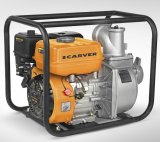 ��������� Carver CGP 6080
