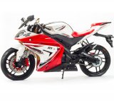 �������� Motoland R1 250 PRO