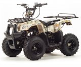 ���������� Motoland 110 RIDER
