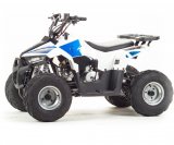 ���������� Motoland 110 EAGLE