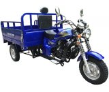 ������� ZIP MOTORS Triton 200